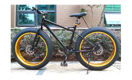 trailmate fat tire bike